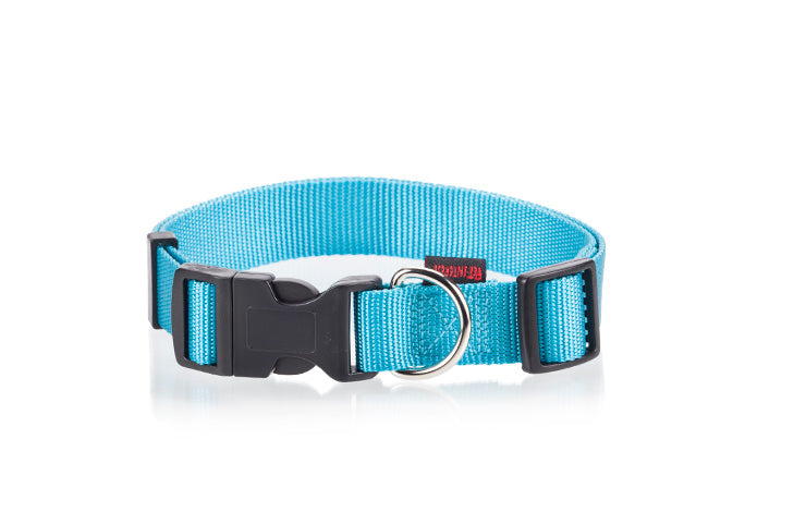 collare nylon S 1,5X22-40 cm in 6 colorazioni