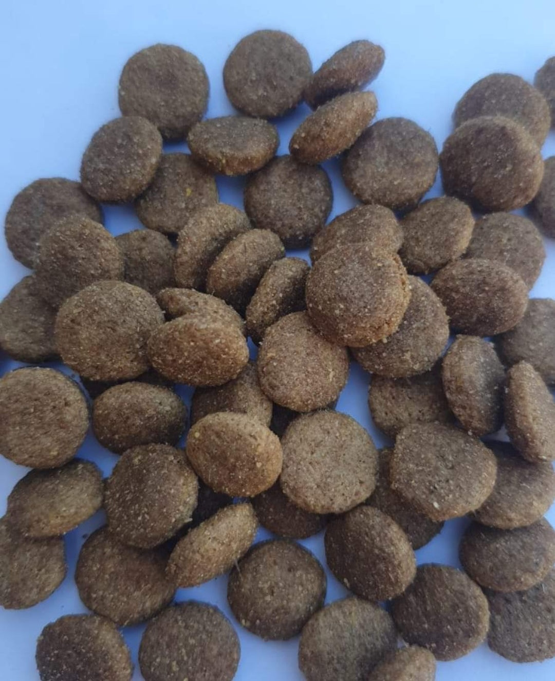 Misty croccantini per cani mantenimento da 20 kg