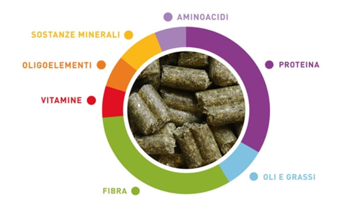 PADOVAN WELLNESS CHINCILLAS KG 1 PELLETTATO PER CINCILLA'