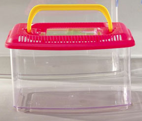 VASCHETTA PER PESCI MEDIA 26X17X16cm 4,30Lt