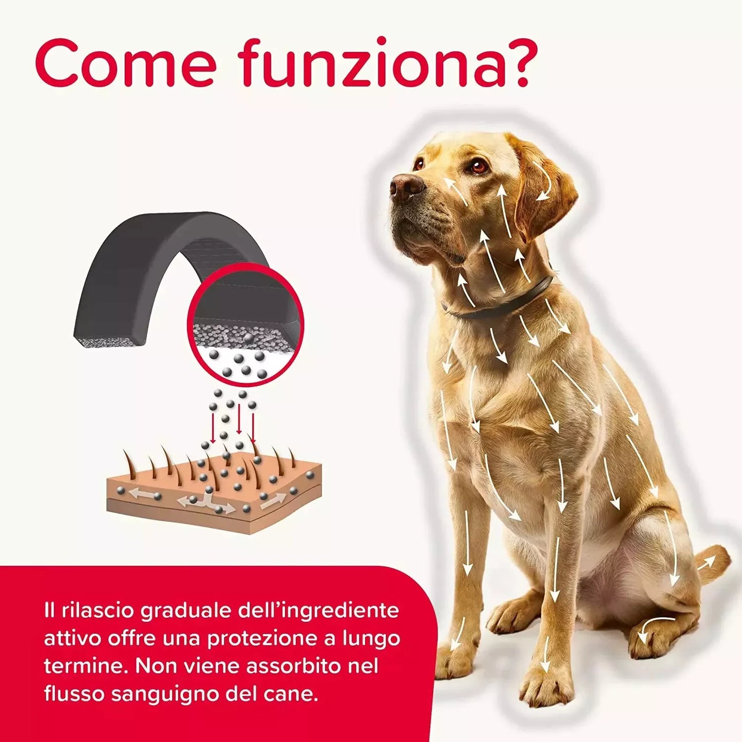 2 pz collare Beaphar canishield 48 cm(1 confezione da 2 collari)