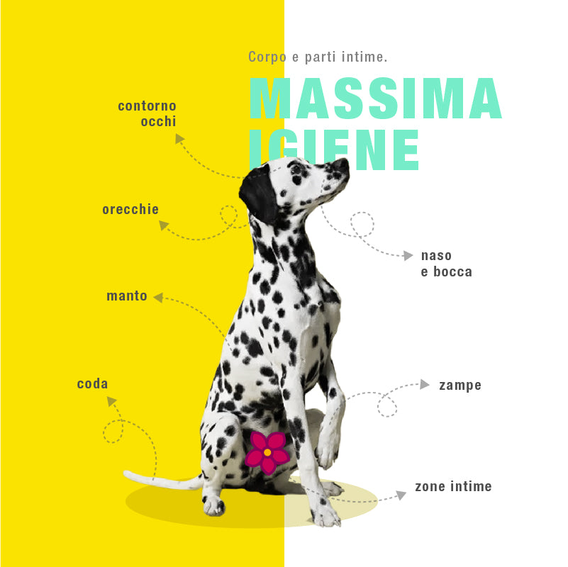 SALVIETTE ANINAL HOUSE PER CANI E GATTI MAXI BIODEGRADABILI 35 PZ ALOE CON CLOREXIDINA