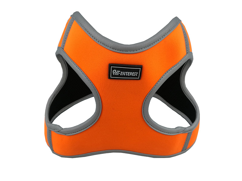 Goget pettorina Tg S 35.6X40.6 cm IN 5 Colori