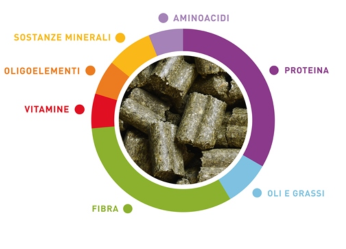 PADOVAN GRANDMIX CINCILLA' 850 gr MISTO PER CINCILLA