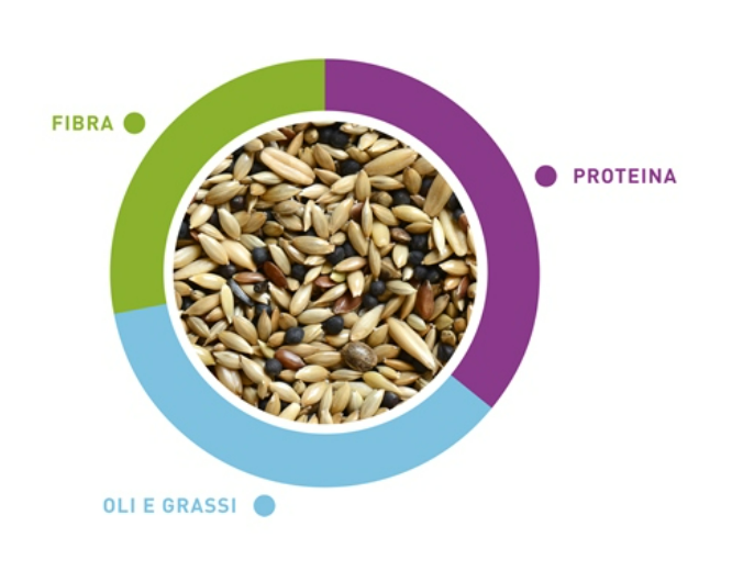 Padovan Naturalmix canarini 20 kg