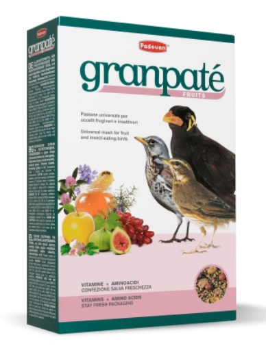 PADOVAN GRANDPATEE' FRUIT 1 KG PASTONCINO PER INSETTIVORI ALLA FRUTTA