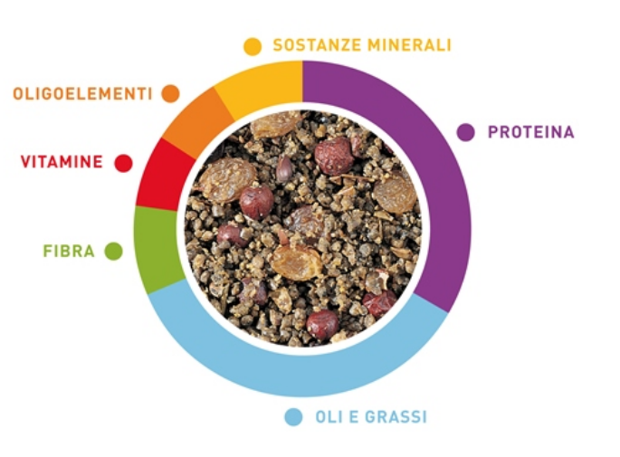 PADOVAN GRANDPATEE' FRUIT 1 KG PASTONCINO PER INSETTIVORI ALLA FRUTTA