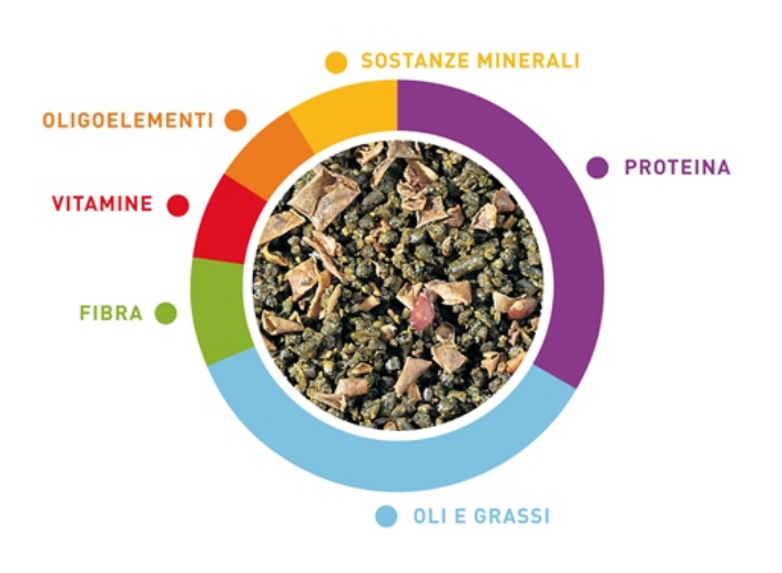 PADOVAN GRANDPATEE' UNIVERSELLE 1 KG PASTONCINO PER INSETTIVORI