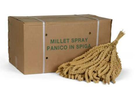 PADOVAN SPIGA DI PANICO 15 Kg
