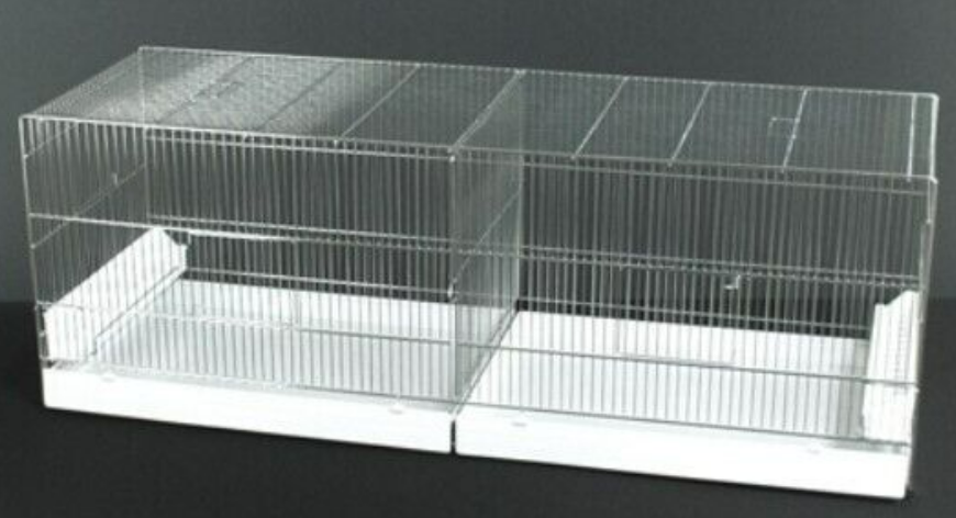Bandiera Auerbach 90x150 Cm - Bandiera Del Paese Degli Uccelli In Poliestere Resistente Con 2 Occhielli Metallici