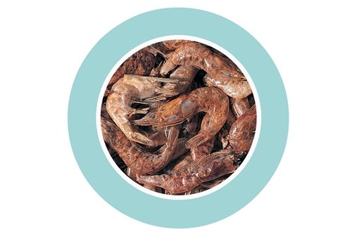 PADOVAN SHRIMPS 1Lt/160 gr GAMBERETTI ESICCATI GTANDI PER TARTARUGHE D'ACQUA