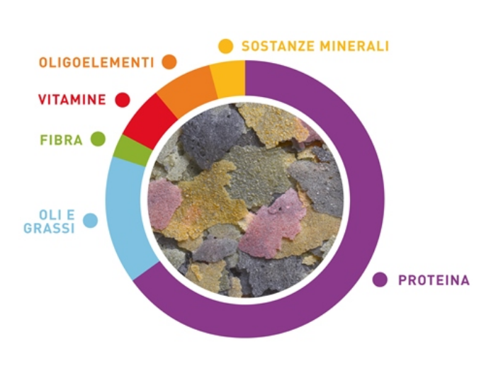 Padovan Aqua gold 10 lt-1,7 kg cibo a scaglie per pesci d'acqua fredda