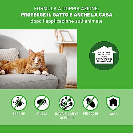 Frontline combo gatto 6 pipette