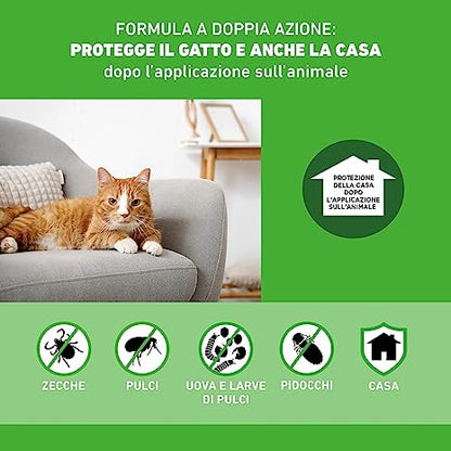 Frontline combo gatto 6 pipette