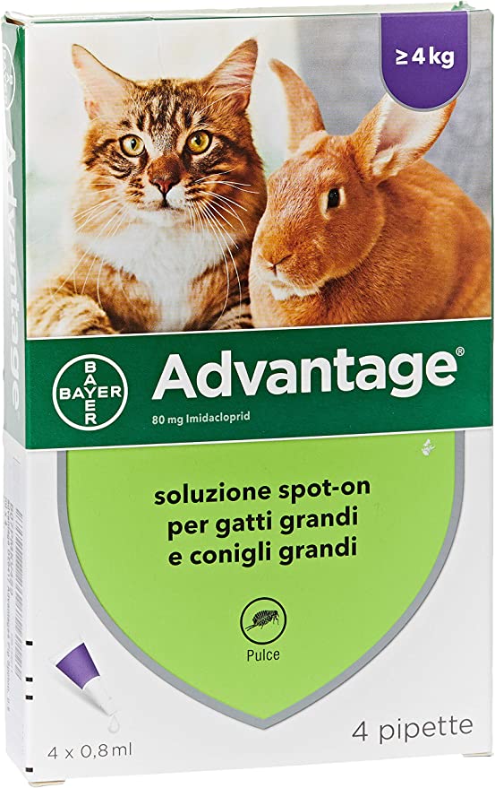 Advantage 4 pipette superiore a 4 Kg