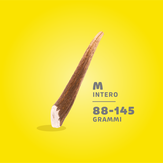 CORNA DI CERVO ANIMAL HOUSE M 88-145gr