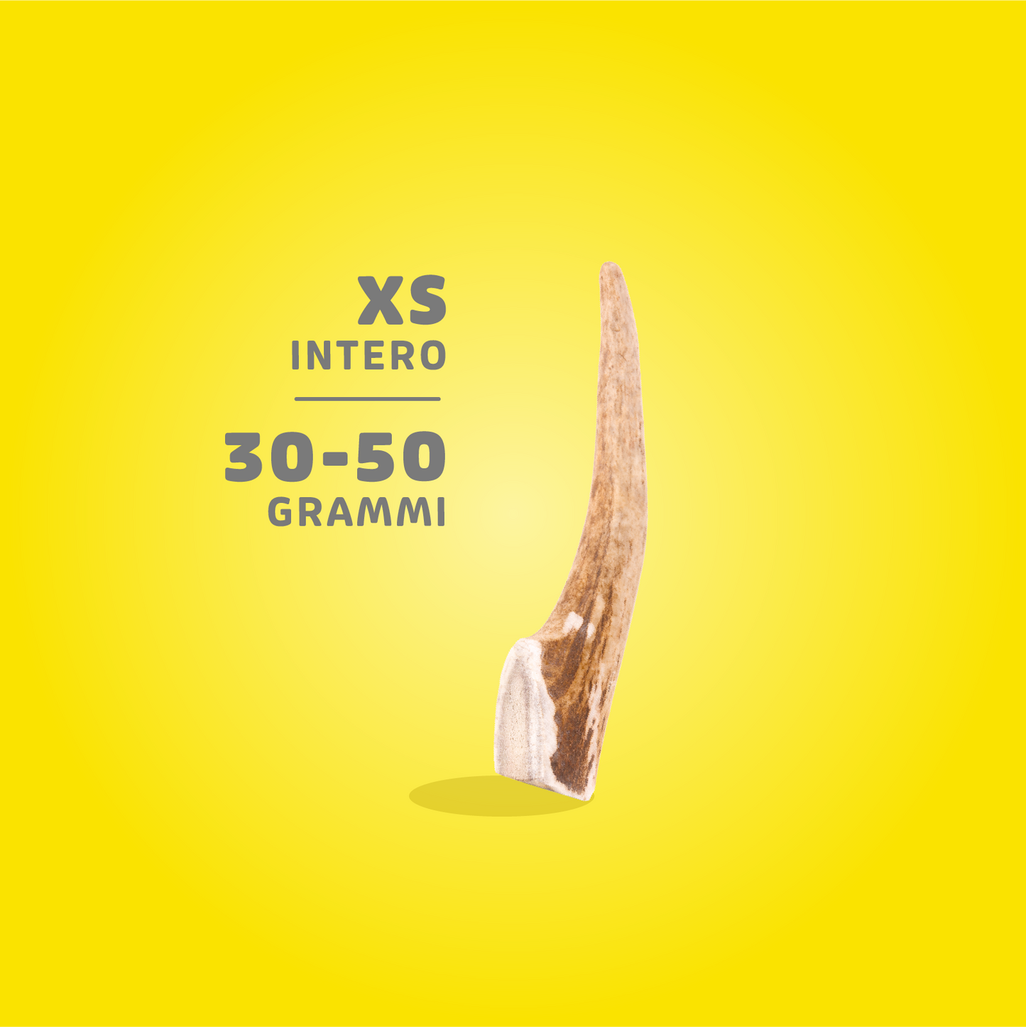 CORNA DI CERVO ANIMAL HOUSE XS 30-50gr