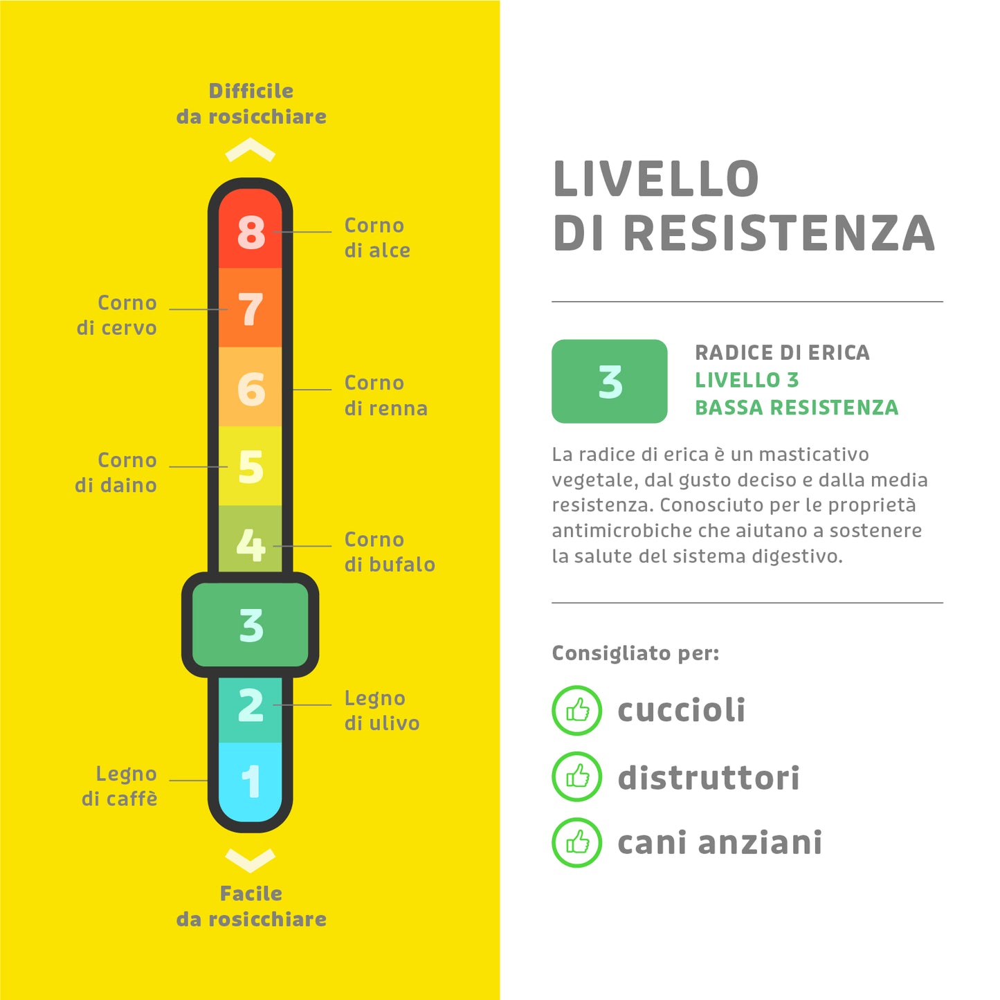 GIOCO MASTICABILE PER CANI RADICE DI ERICA L 300-400GR