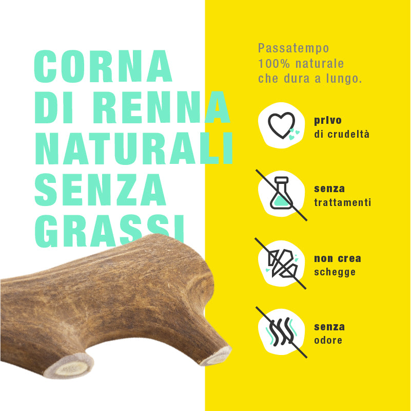 CORNA DI RENNA ANIMAL HOUSE M 81-120 gr
