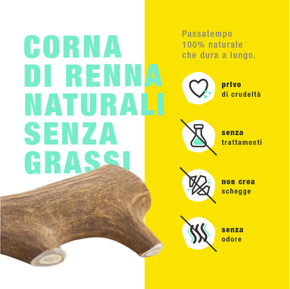 CORNA DI RENNA ANIMAL HOUSE M 81-120 gr