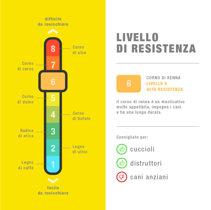 CORNA DI RENNA ANIMAL HOUSE M 81-120 gr