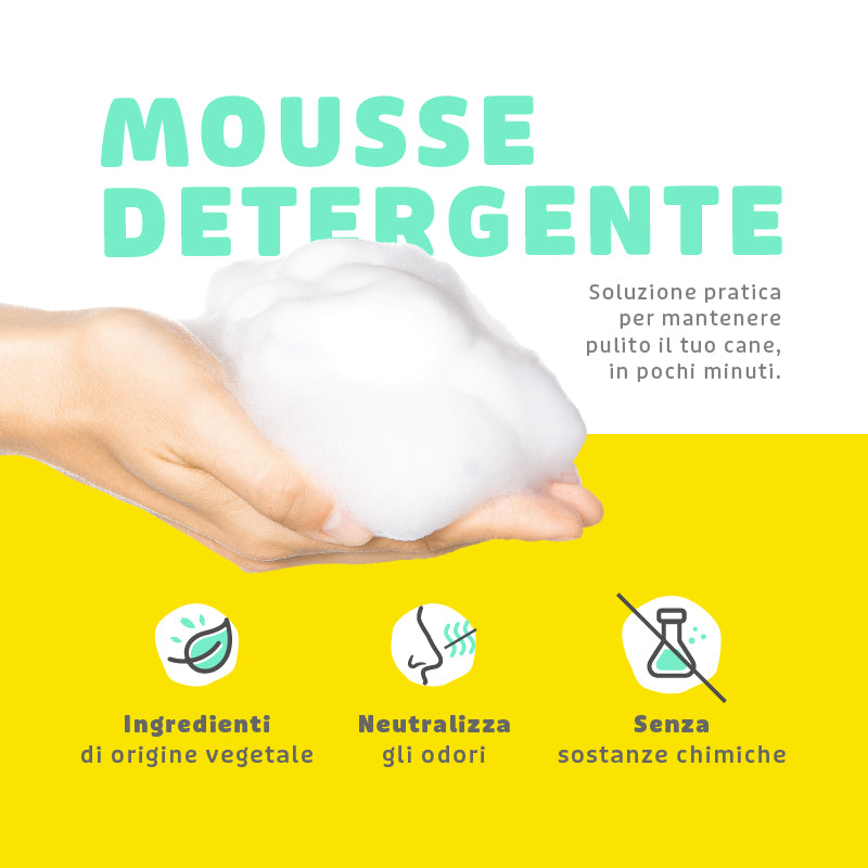 SHAMPOO MOUSE A SECCO ANIMAL HOUSE 300 ML ALOE