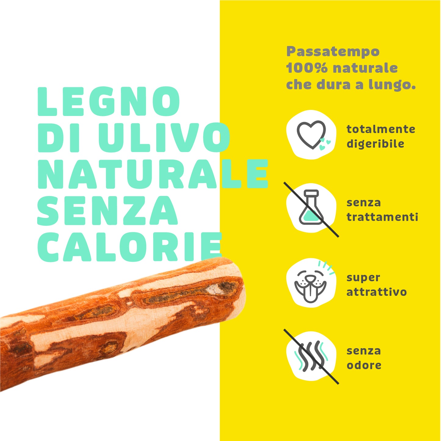 GIOCO MASTICABILE PER CANI LEGNO DI OLIVO XS 10-12 CM