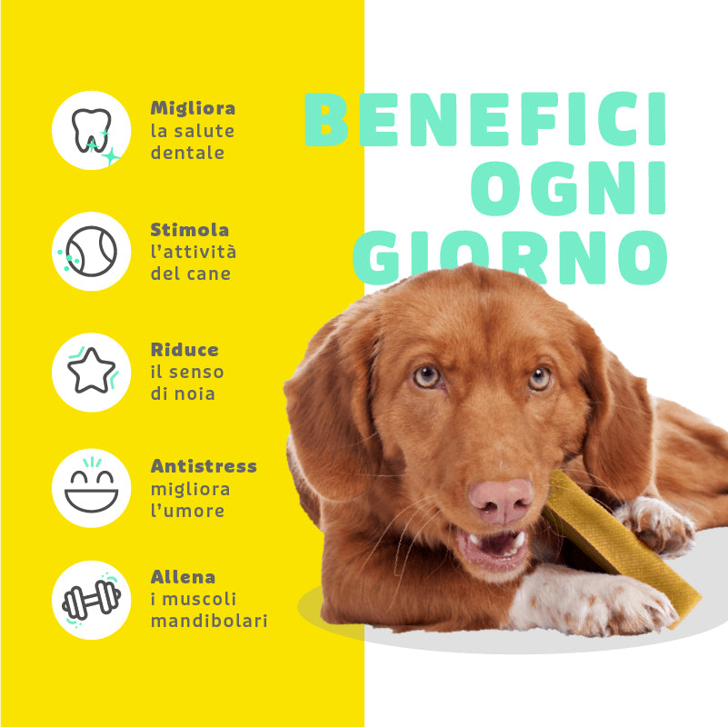 BARRETTE DI FORMAGGIO ANIMAL HOUSE XXL 180gr