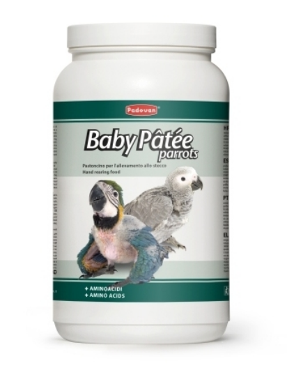 PADOVAN BABY PATEE' PARROTS PASTONE DA IMBECCO PULLI