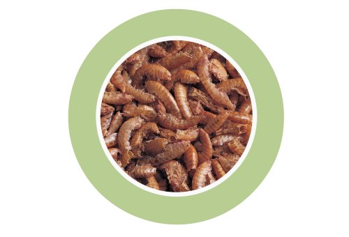 PADOVAN GAMMARUS 1Lt/130 gr GAMBERETTI ESICCATI PER TARTARUGHE D'ACQUA