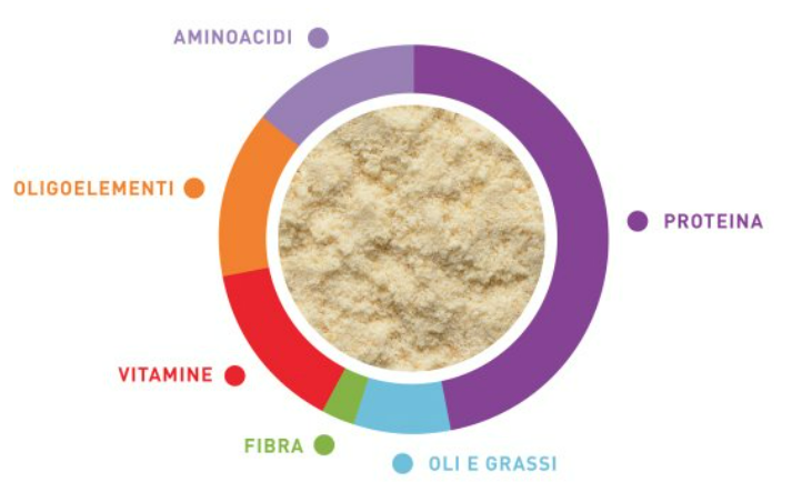 PADOVAN LORYFOOD 900 gr NETTARE PER LORY